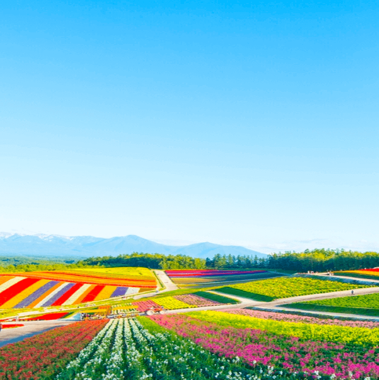 drive-japan-hokkaido-main