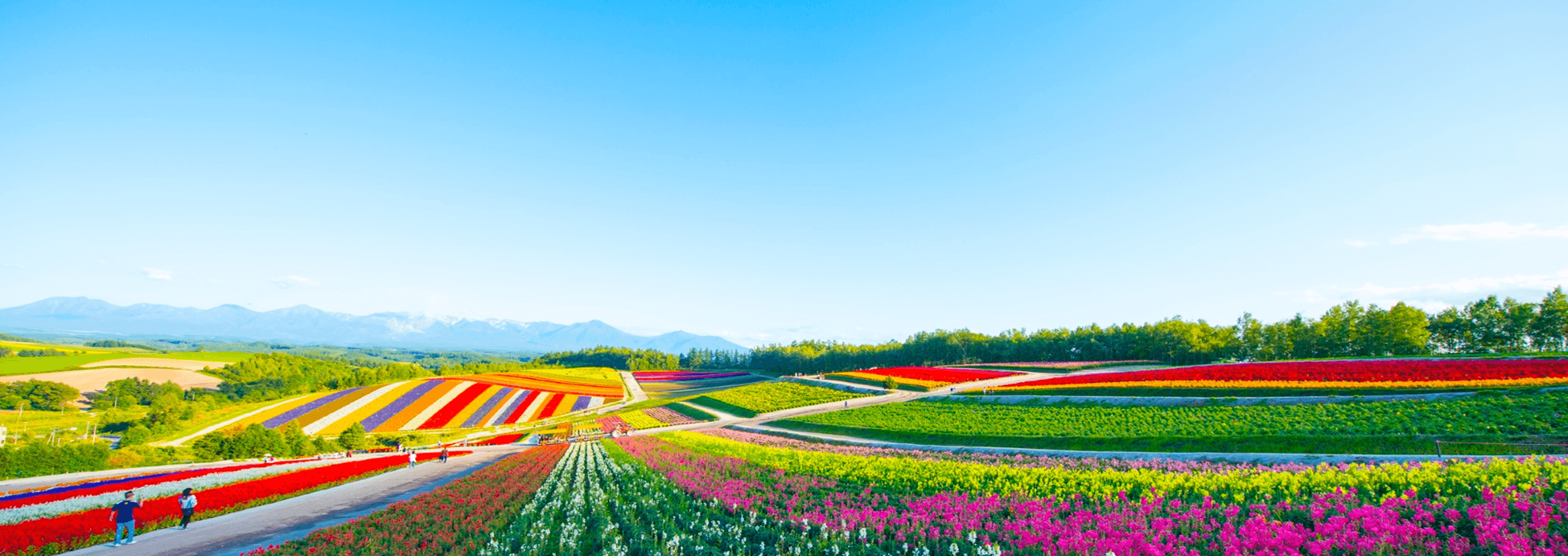 drive-japan-hokkaido-main
