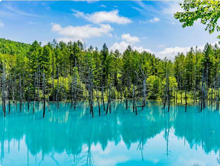 Blue Pond, Biei