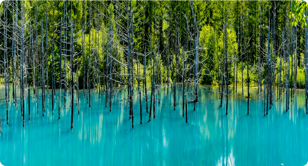Blue Pond, Biei