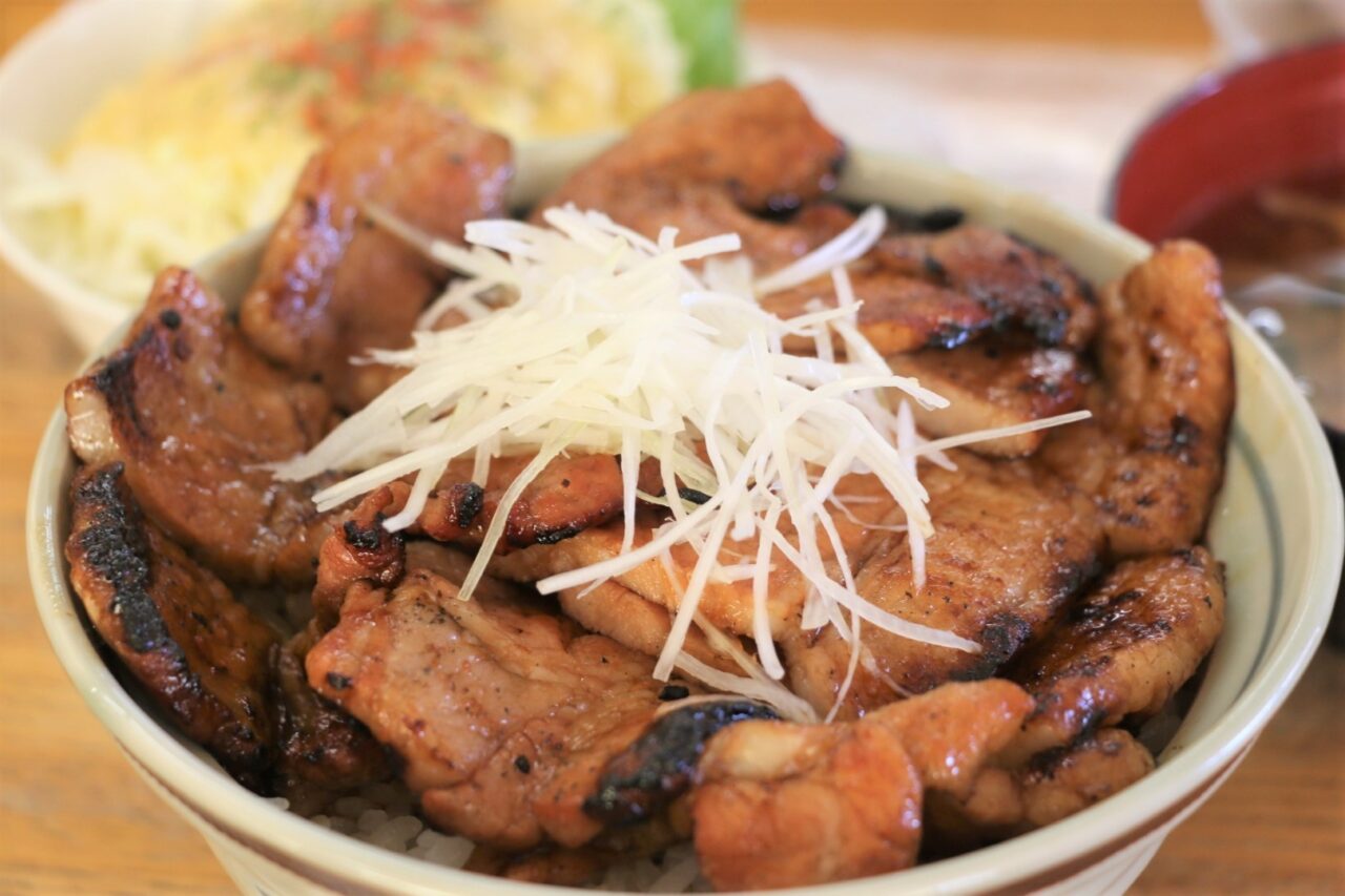Butadon(Pork rice bowl) in Obihiro-豚丼